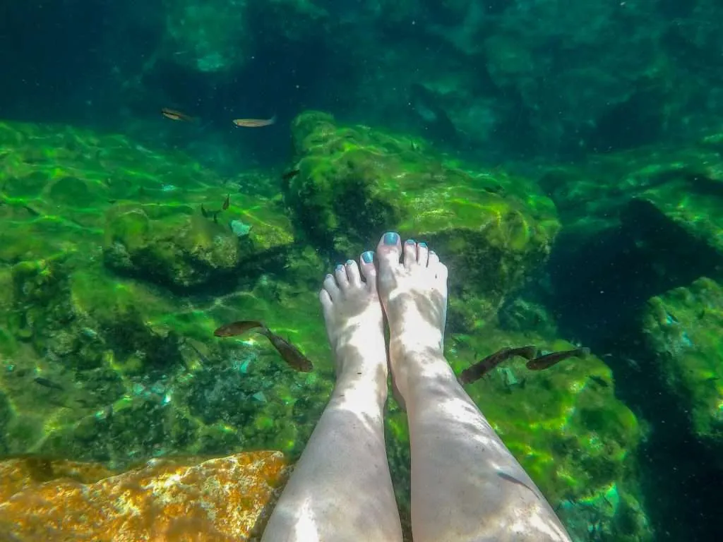 Cenote Eden Fish Spa