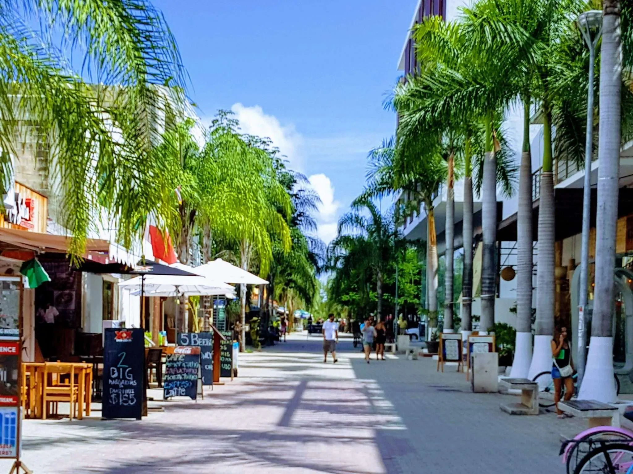 5th Avenue Playa del Carmen