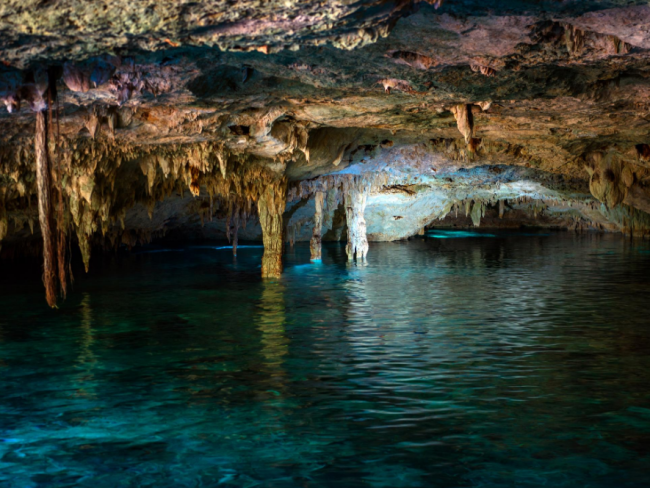 20 BEST Playa del Carmen Cenotes to Visit in 2024