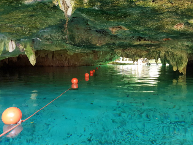 20 BEST Playa del Carmen Cenotes to Visit in 2024