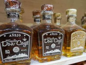Bottles of tequila on a shelf at a souvenir store in Mexico