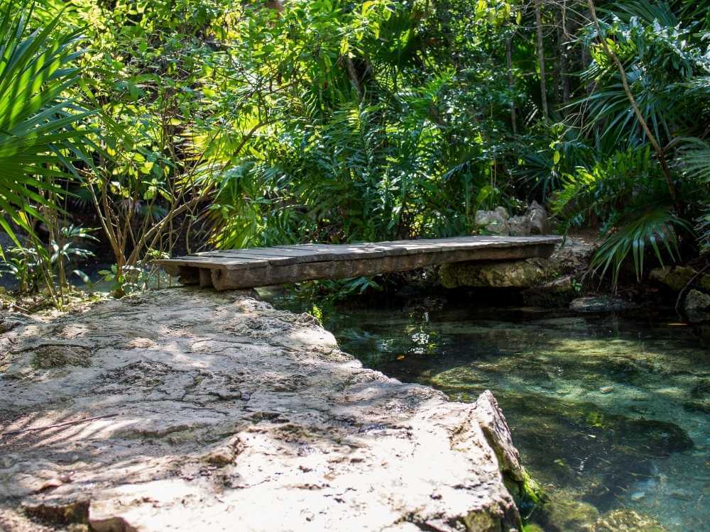 Cenote Azul Riviera Maya Mexico Bridge