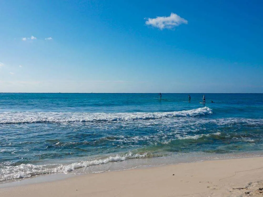 Playa del Carmen paddle boarders on the water