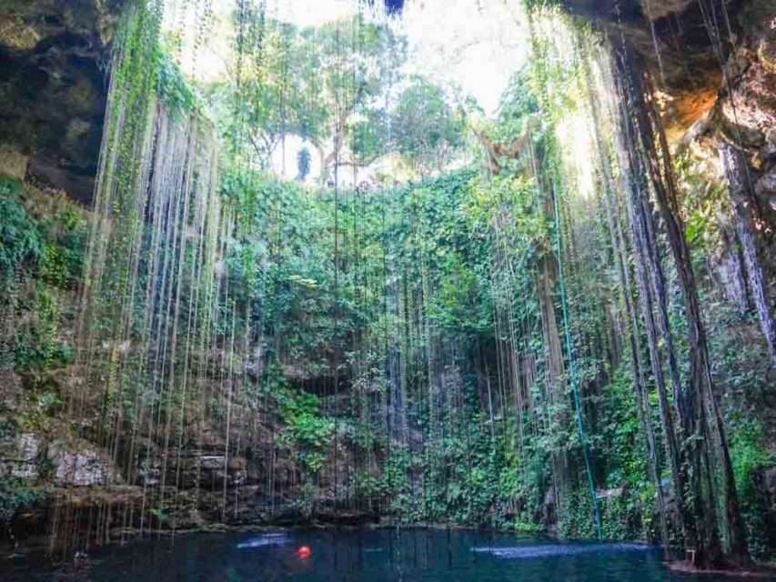 20 BEST Playa del Carmen Cenotes to Visit in 2024