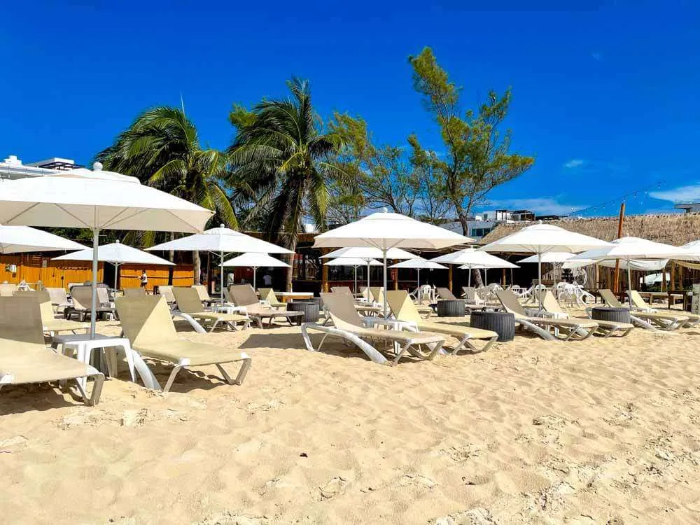 Lounge chairs and beach umbrellas at Encanto Beach Club Playa del Carmen