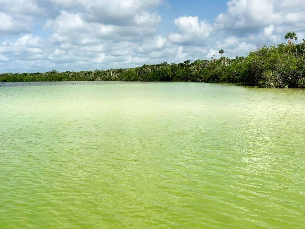 Kaan Luum Lagoon Water