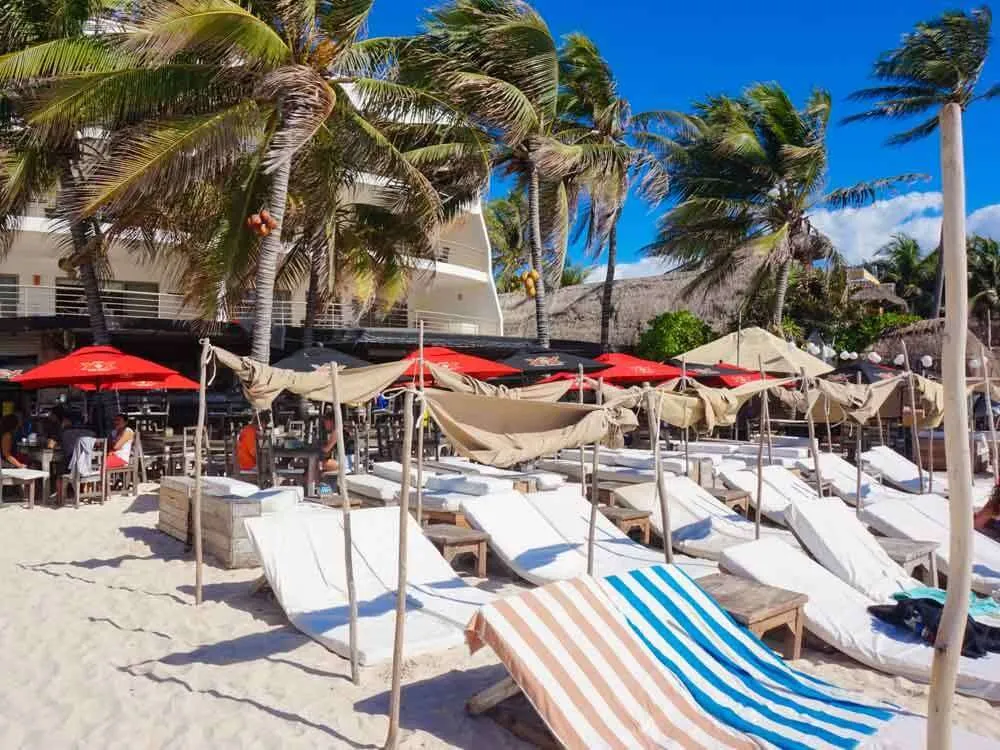 Lounge beds on the beach at Zenzi Beach Club Playa del Carmen