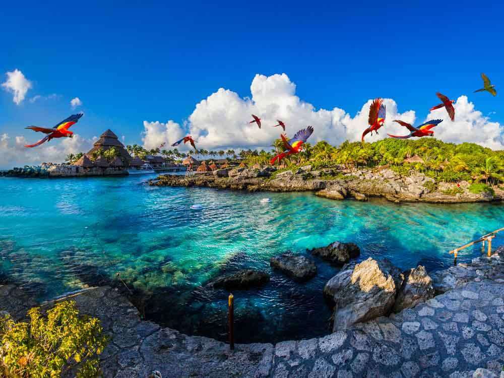 Parrots flying over a lagoon at Xcaret Park