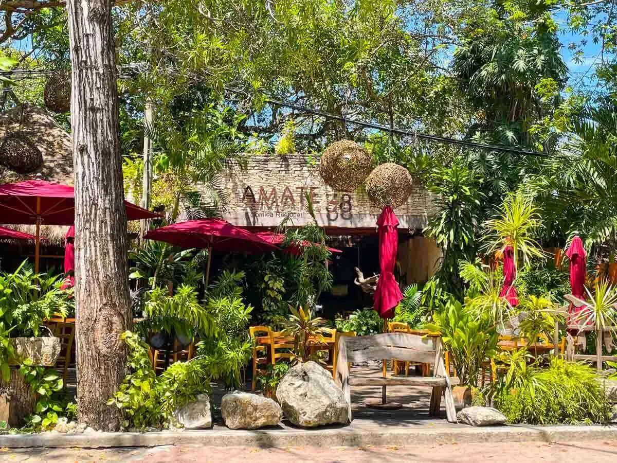 Amate 38 Restaurant Playa del Carmen surrounded by trees