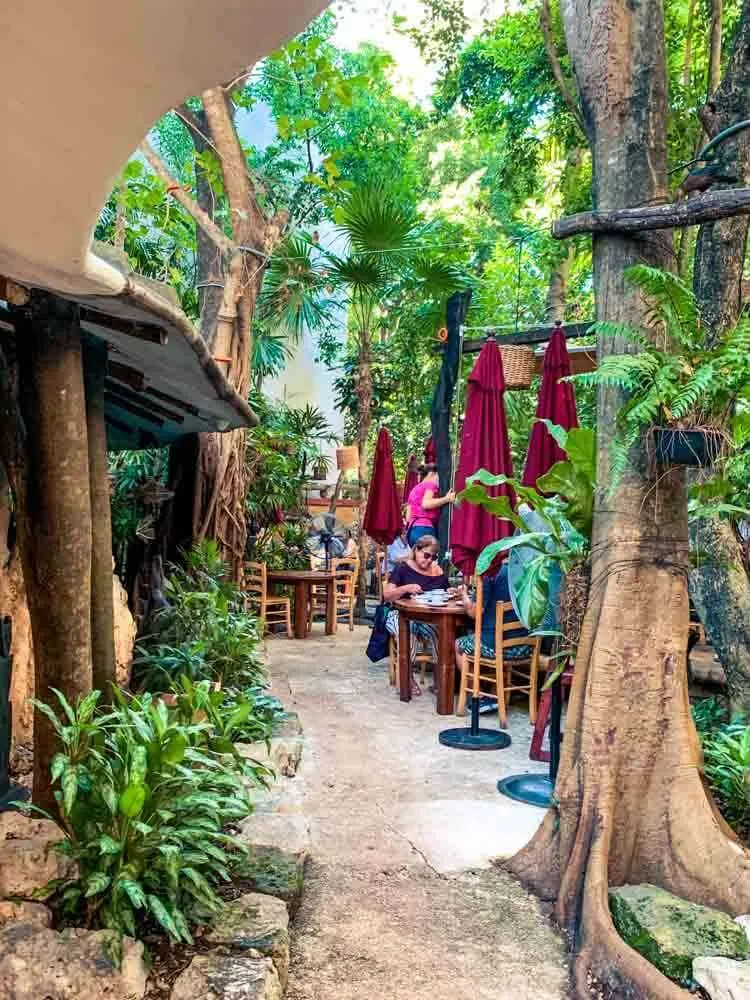 People dining outside at La Cueva del Chango Playa del Carmen