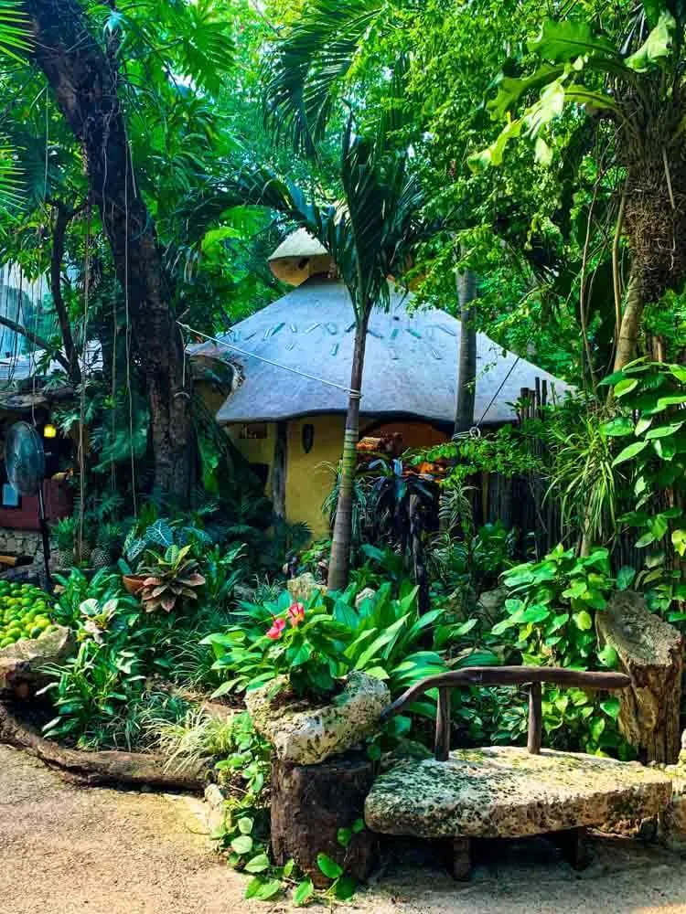 The outdoor area at La Cueva del Chango Playa del Carmen surrounded by foliage