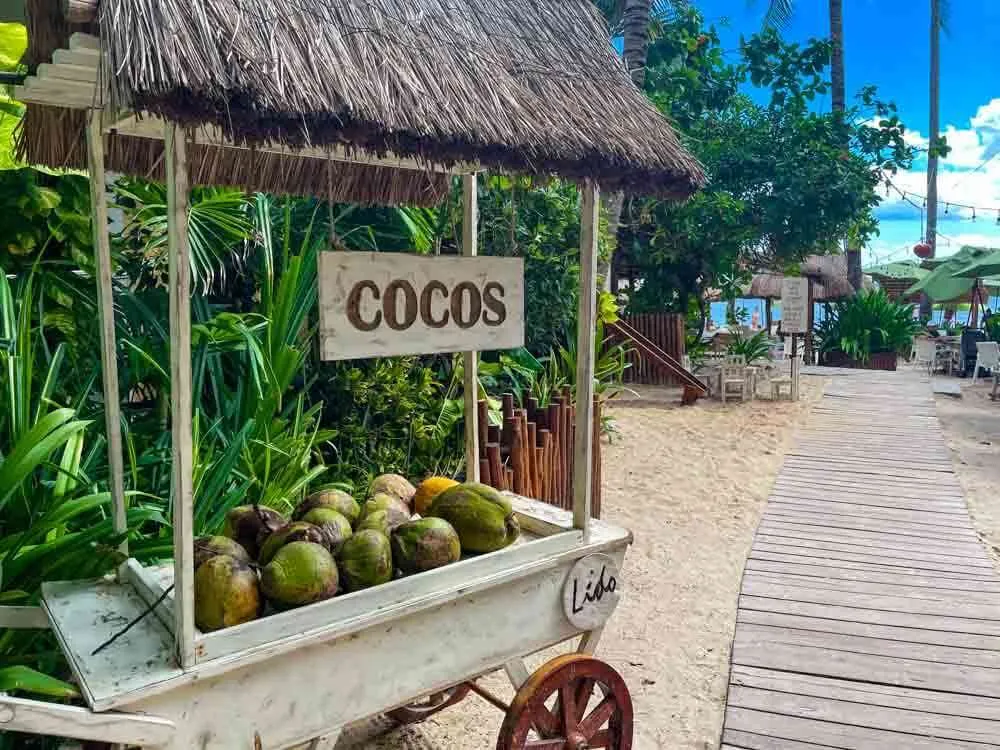 A coconut cart at the entrance to Lido Beach Club