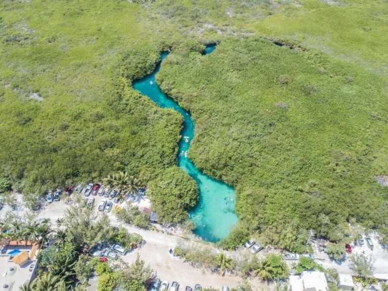 15 Best Playa del Carmen Cenote Tours in 2025