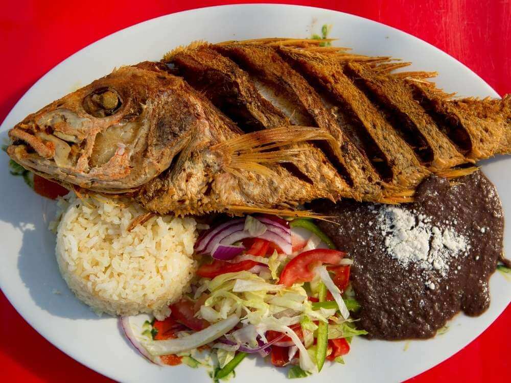 Puerto Morelos Restaurants Fish