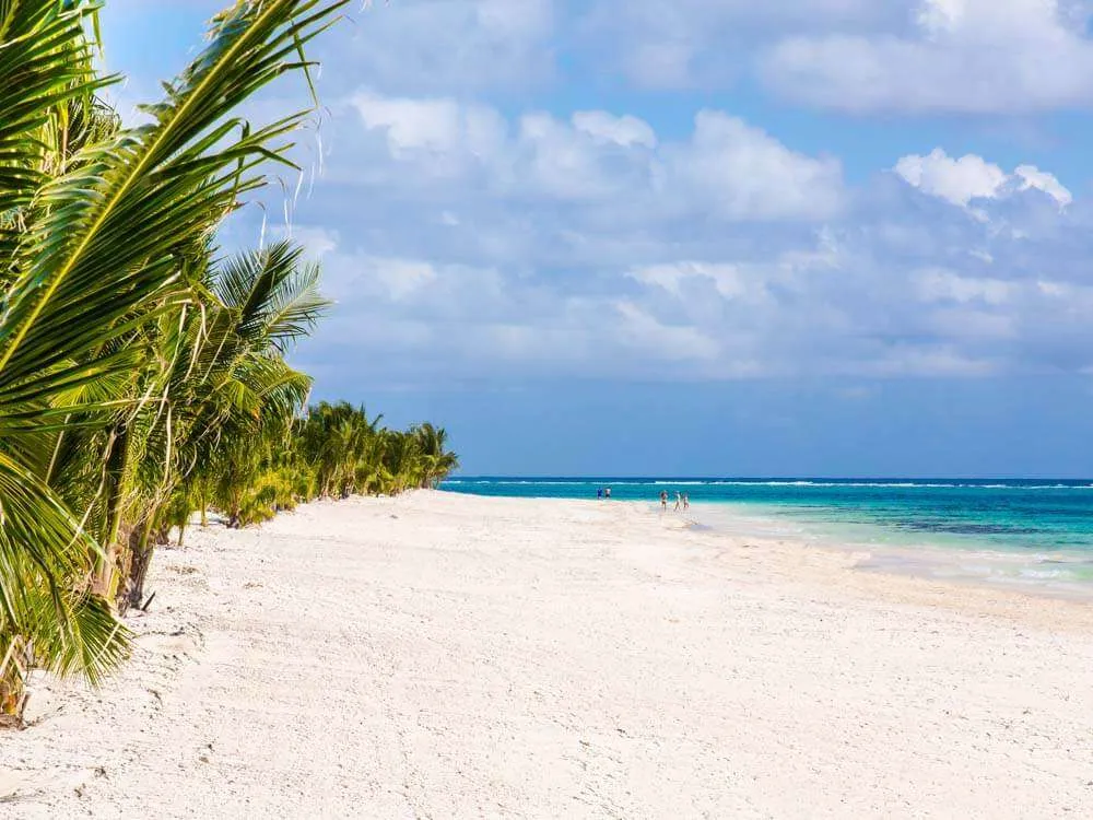 Palm trees next to the beach at Playa Maroma