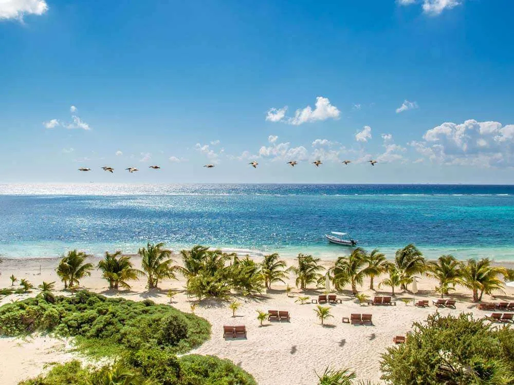 An aerial view of Punta Maroma beach with palm trees and lounge chairs