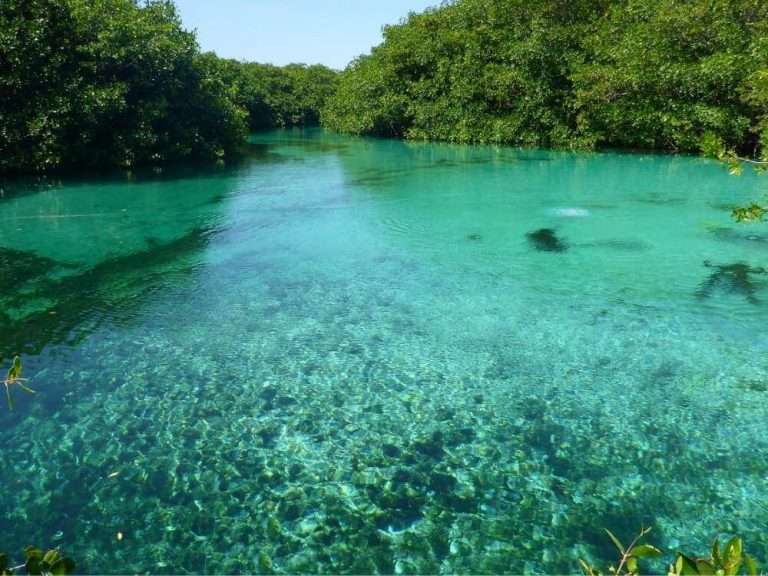 15 Best Playa del Carmen Cenote Tours in 2025