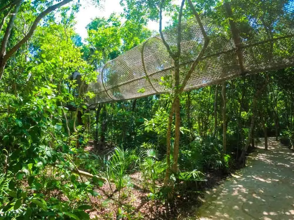 Xel Ha Childrens World Tunnels