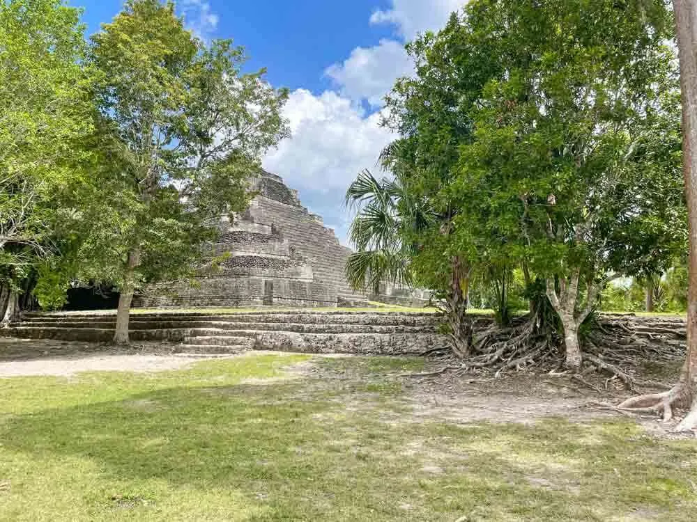 The Chacchoben Mayan Ruins archaeological site