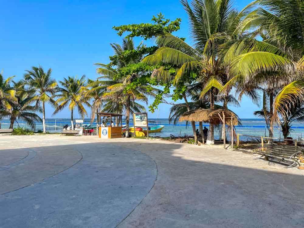 Isla Contoy Tour Mexico: Everything You Need to Know (2023 Guide)