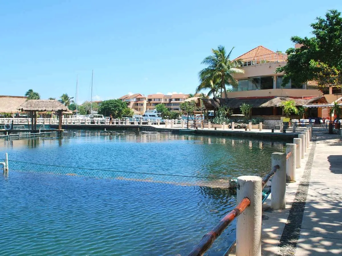 The marina in Puerto Aventuras Mexico