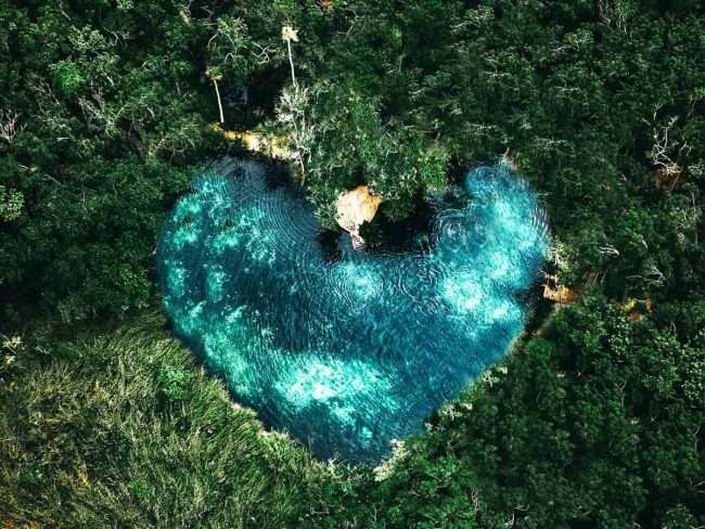 20 BEST Playa del Carmen Cenotes to Visit in 2024