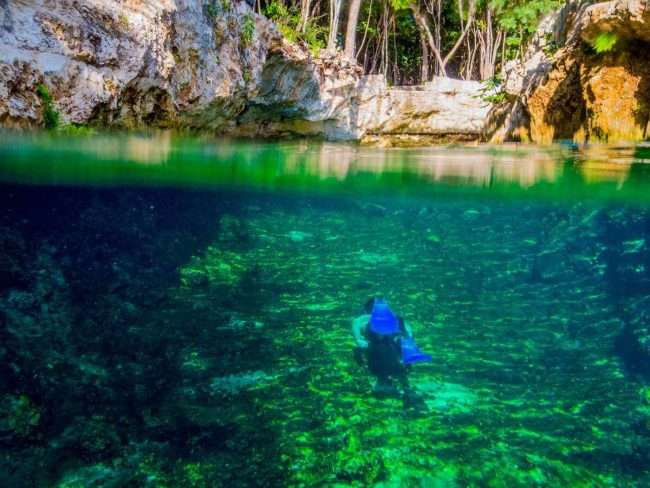 20 BEST Playa del Carmen Cenotes to Visit in 2024