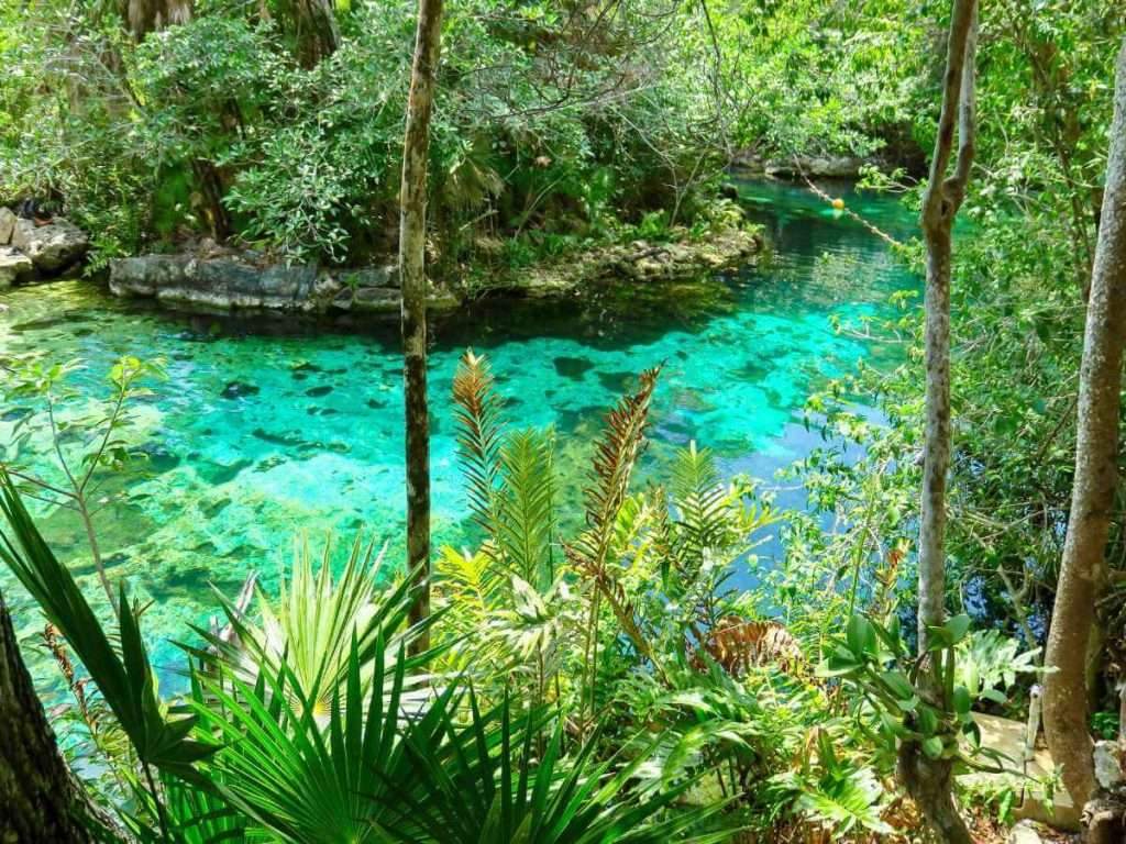 20 BEST Playa del Carmen Cenotes to Visit in 2024