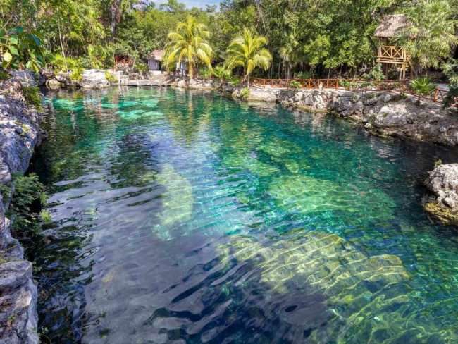 20 BEST Playa del Carmen Cenotes to Visit in 2024