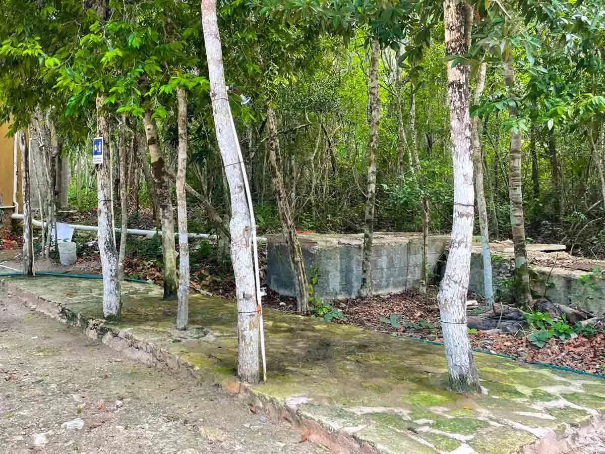 Cenote Taak Bi Ha Showers