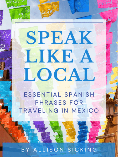 Speak Like a Local eBook Cover