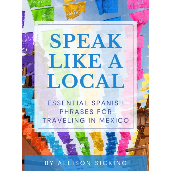 Speak Like a Local eBook Cover
