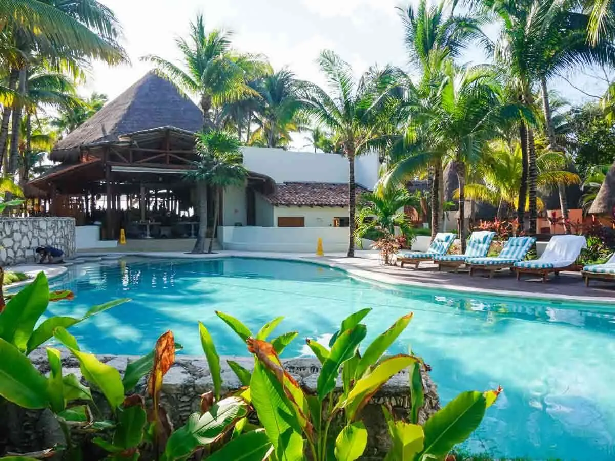 A pool at Mahekal Beach Resort Playa del Carmen with striped lounge chairs surrounded by tropical plants and palm trees