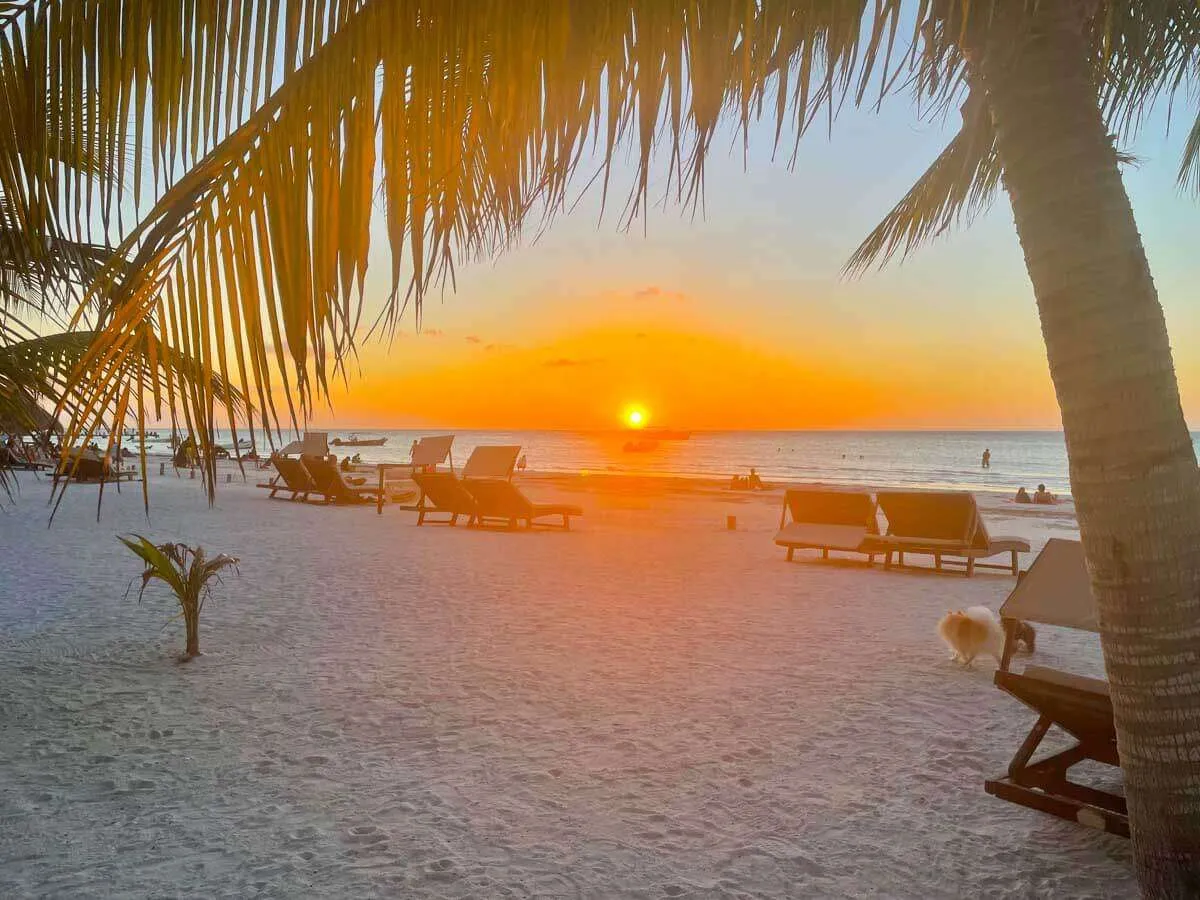 The sunset in Holbox Mexico from the beach with lounge chairs and palm trees