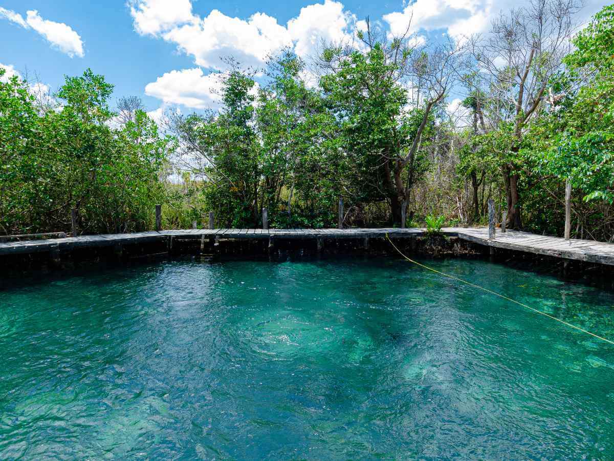 Yalahau Cenote near Holbox Mexico with trees and a wooden walkway around it