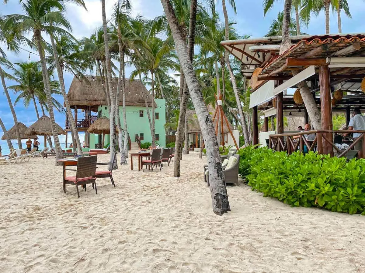 Tables and chairs on the beach surrounded by palm trees at Fuego Restaurant Playa del Carmen