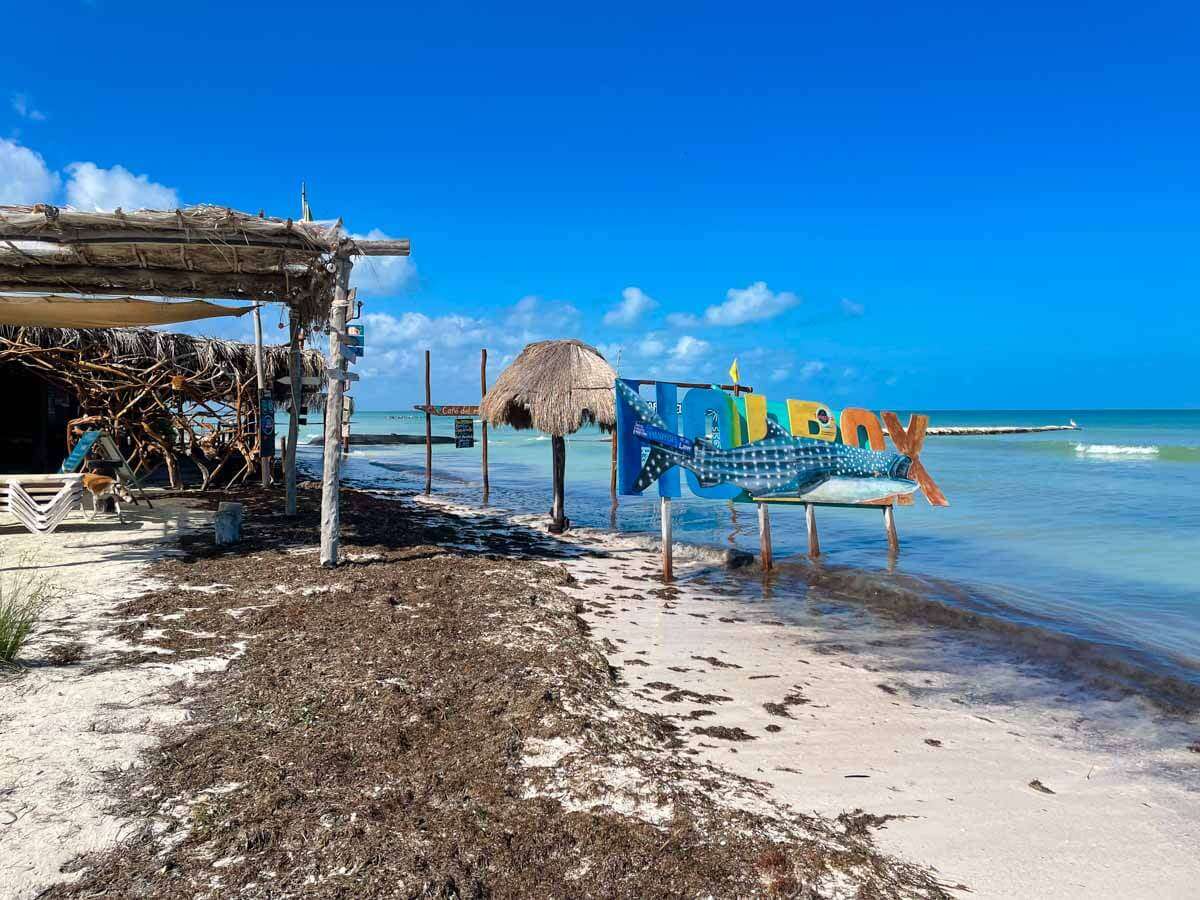 The beach at Cafe del Mar, a location for the Holbox bioluminescence tour