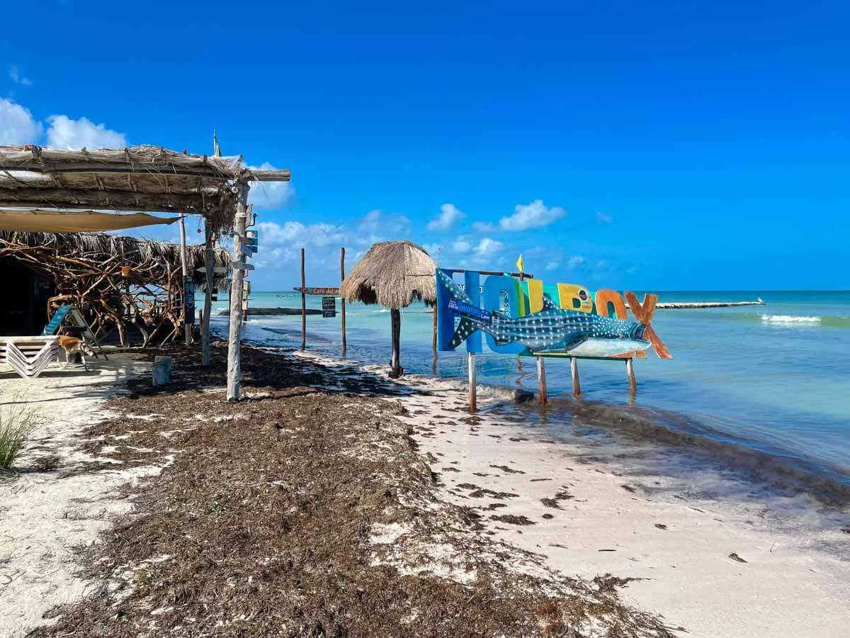 The beach at Cafe del Mar, a location for the Holbox bioluminescence tour