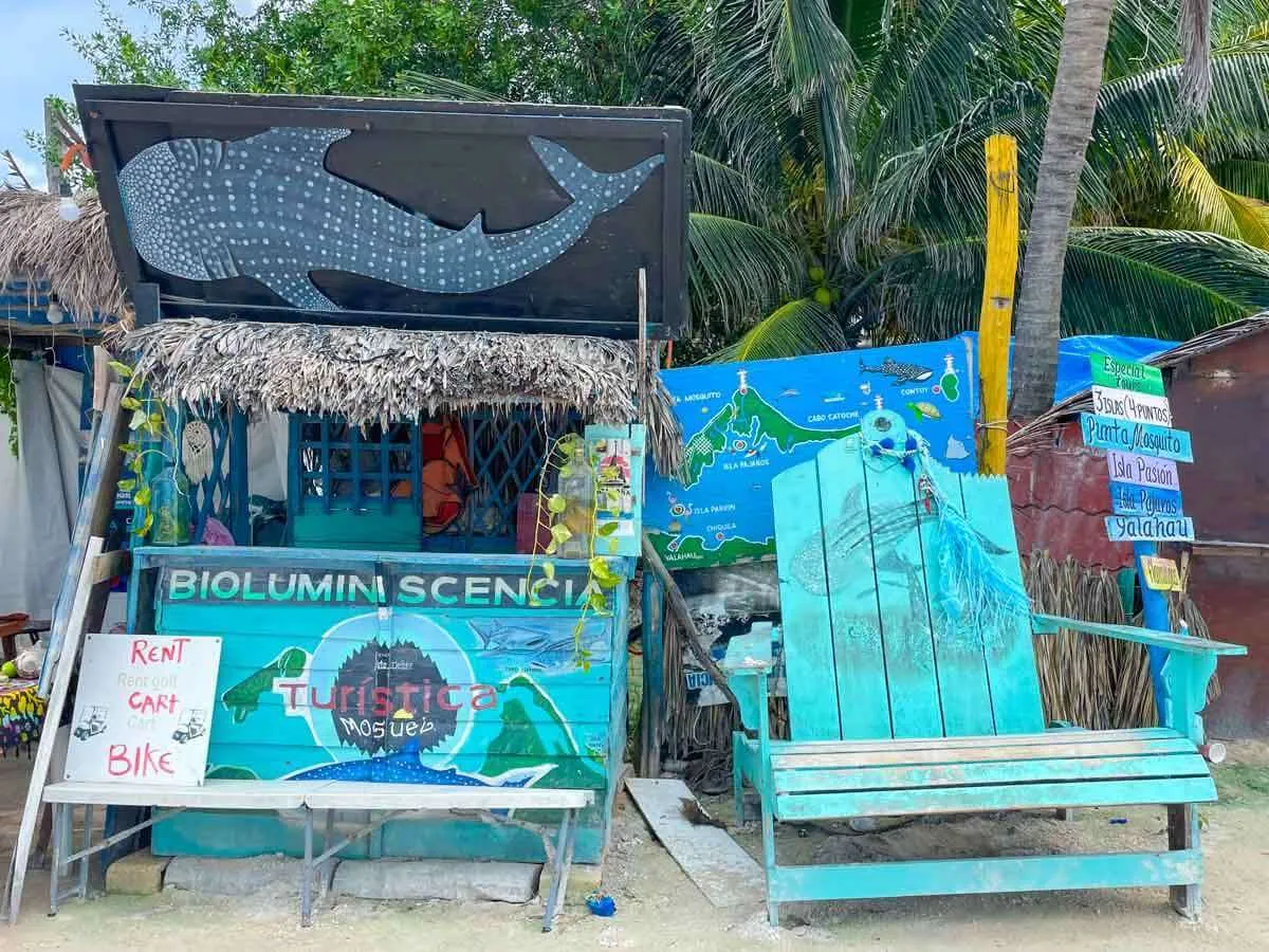 A tour stand on the beach in Holbox promoting the Bioluminescence Tour