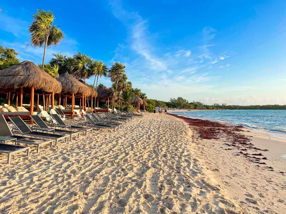 A beach in Playa del Carmen with seaweed on the shore