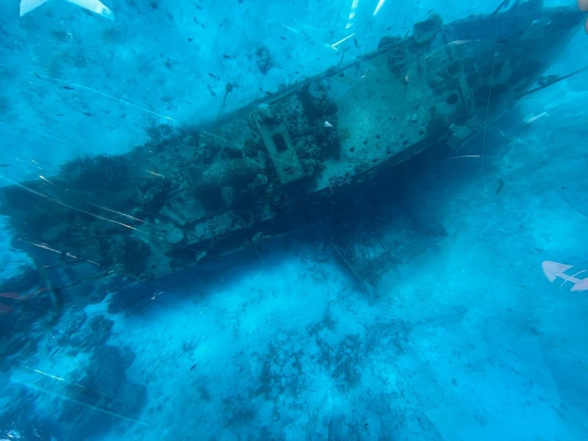 A sunken ship underwater in Cozumel Mexico