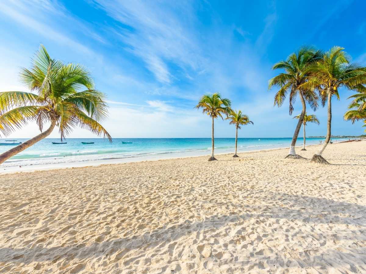 Palm trees and powder white sand on Playa Paraiso beach in Tulum, Mexico